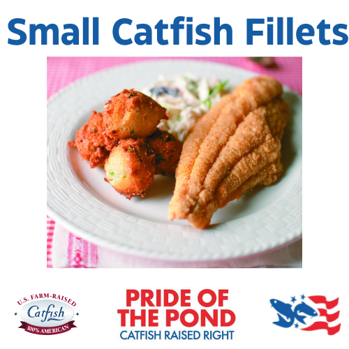 Small Catfish Fillet